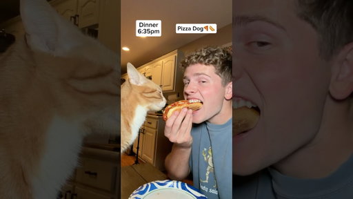 I Ate Air Fryer Foods For The ENTIRE Day!