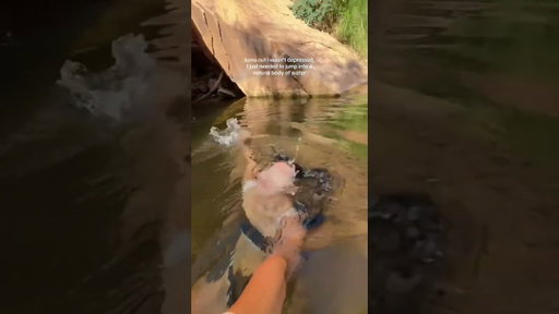 Such an amazing feeling !!! #dunk #waterfall #naturalwater #travel