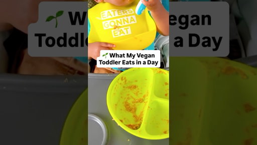 What My Vegan Toddler Eats in a Day - Ep 13 🌱