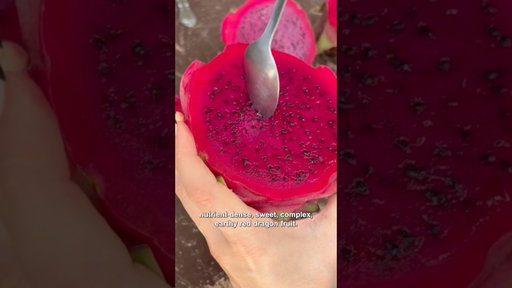 Sourcing fresh, juicy red dragon fruit straight from our partner farm in La Concepción, Nicaragua.