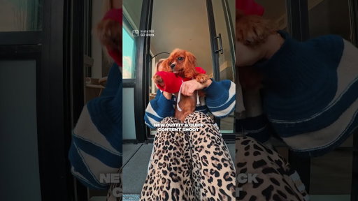 If my puppy was an influencer… @insta360 #insta360goultra #insta360