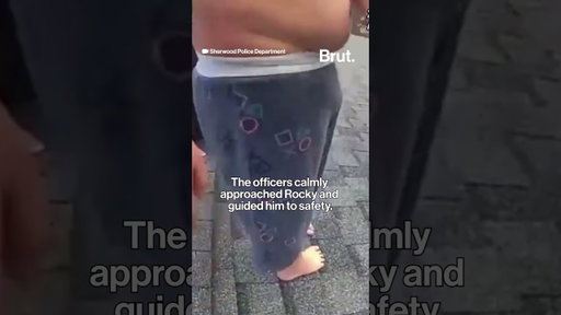 Oregon police rescue nonverbal child from autism from his roof