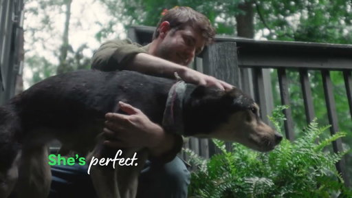 Sweet Girl Eats Open Farm Kibble Dog Food