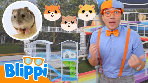 Blippi's Big Hamster Challenge! 🐹| Blippi Learns | Learn Animals with Blippi!
