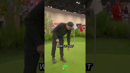 This Golf Simulator is INSANE 🤯
