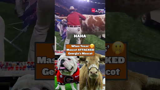 Texas' Mascot ATTACKED Georgia's Mascot 🤣
