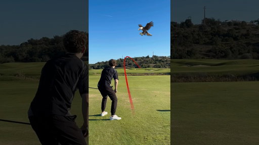 that was PERFECT #golf