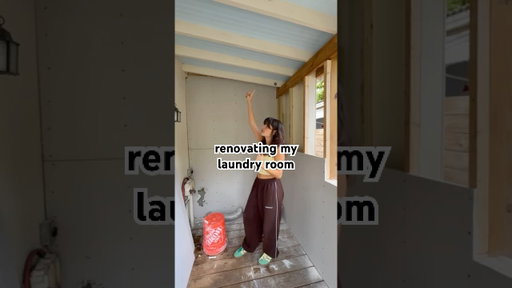 turning my outdoor laundry room into a full interior space