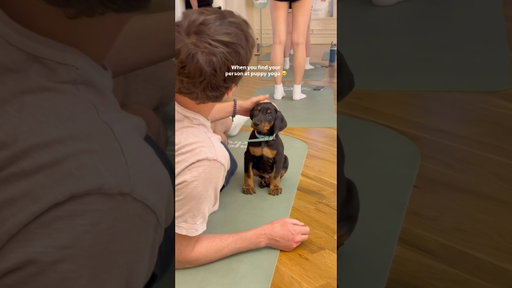 Send this to someone who might need this today 🫶 #puppyyoga #puppy #dobermanpuppy #puppytherapy