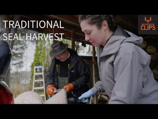Traditional Seal Harvest with Alaska Native Heather Douville | MeatEater Clips