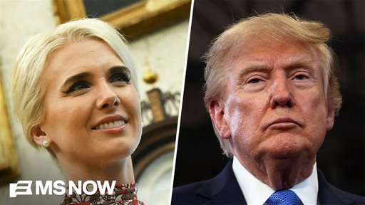 'There's something weird going on': Ex-Trump staffer SPILLS on Natalie Harp's extreme Trump devotion