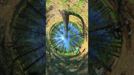 This is your reminder to play it as it lies.