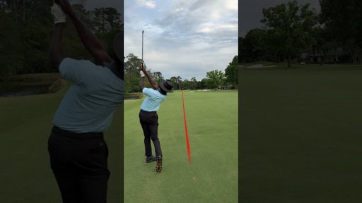 Pro vs +1 vs Scratch
