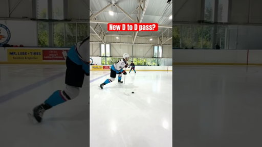 Would this work in the NHL!? #hockey #pavelbarber #nhl