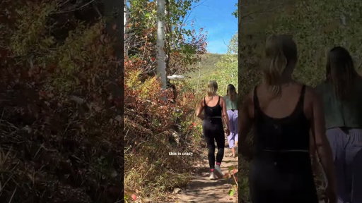 This drone followed me on a hike...