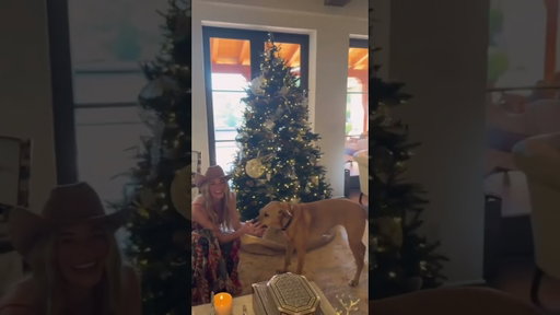 today, today, today, today, today is (not) christmas... BUT that doesn't mean we can't spread some