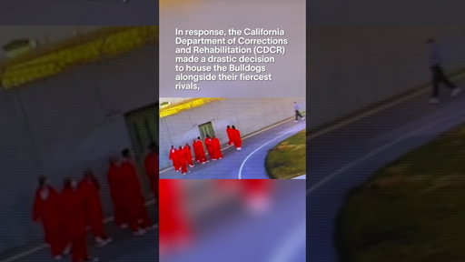 Rival Gangs: The Norteños and Sureños #californiacrime #california #gangculture