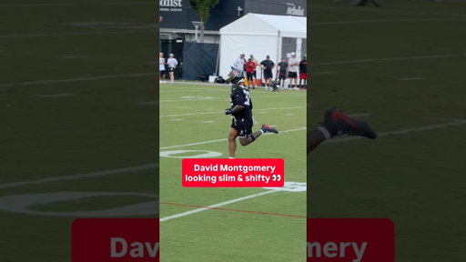 David Montgomery Getting Shifty At Texans Camp #nfl #texans #houston