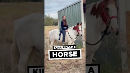 Kira Finds A Horse