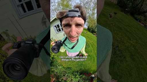 Can I photograph six pink flower plants in my garden?