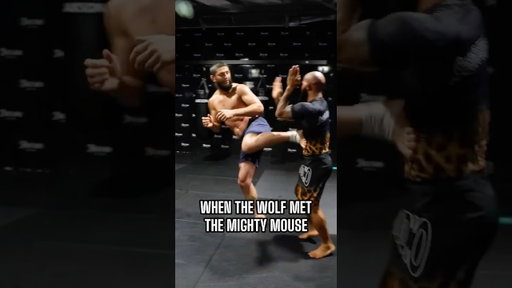 When Khamzat Chimaev and Demetrious Johnson get some sparring in 👀