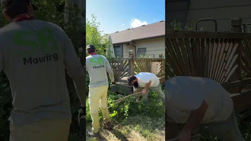 It took the WHOLE NEIGHBORHOOD to uncover this yards SHOCKING SECRET