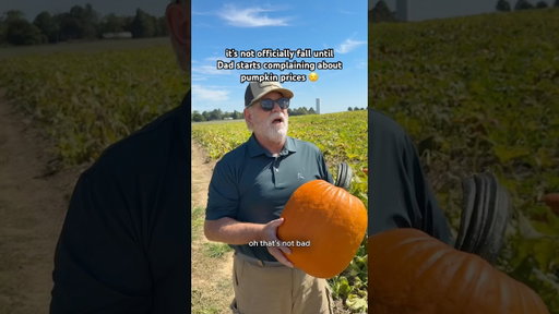 it’s not officially fall until Dad starts complaining about pumpkin prices 🎃 #shorts