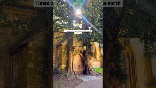 You don’t need to fly to New Zealand to find Middle Earth ✨ #middleearth
