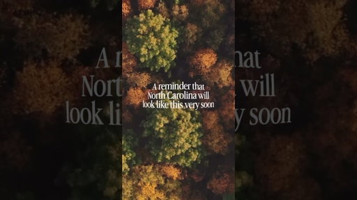 Just a reminder that fall is on its way to North Carolina! The leaves turning every shade of yellow,