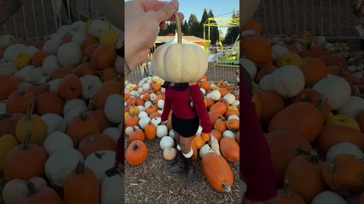 Pumpkin patch date 🎃
