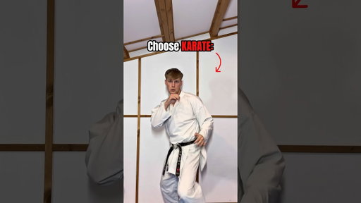 Choosing your martial art…