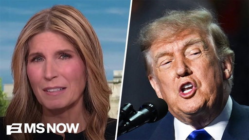 'Another CHUMP test': Nicolle slams 'feckless' GOP over Trump's blatant attempt to BRIBE Americans