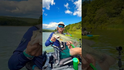 My FIRST cast of the day  🤯  #bassfishing #largemouthbass #daltonmauldin