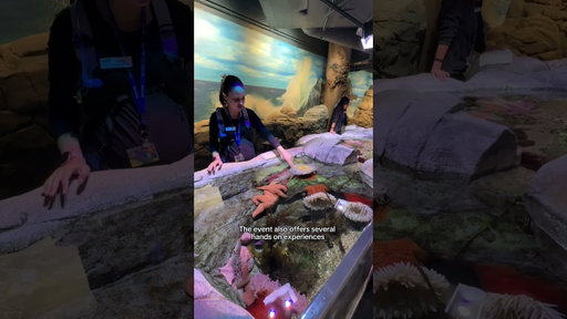 An Adults-Only Night at the Aquarium?! 🐠