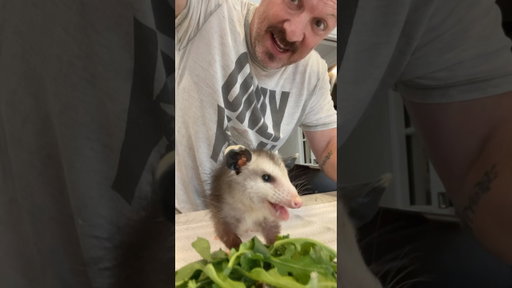 Mousey was hungry!