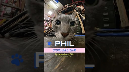 Meet Jenny and Phil in Bushwick