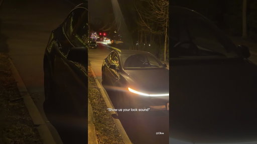 Tesla Lock Sounds