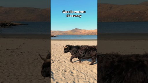 How to predict Scotland's weather 👀