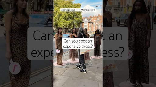We Asked Strangers to Rank Our Leopard Print Dresses | Can You Guess Which Is Most Expensive?
