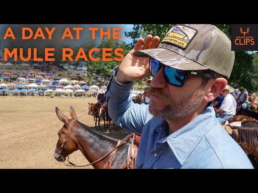 The Chuck Wagon Mule Races | With Clay Newcomb | MeatEater Clips