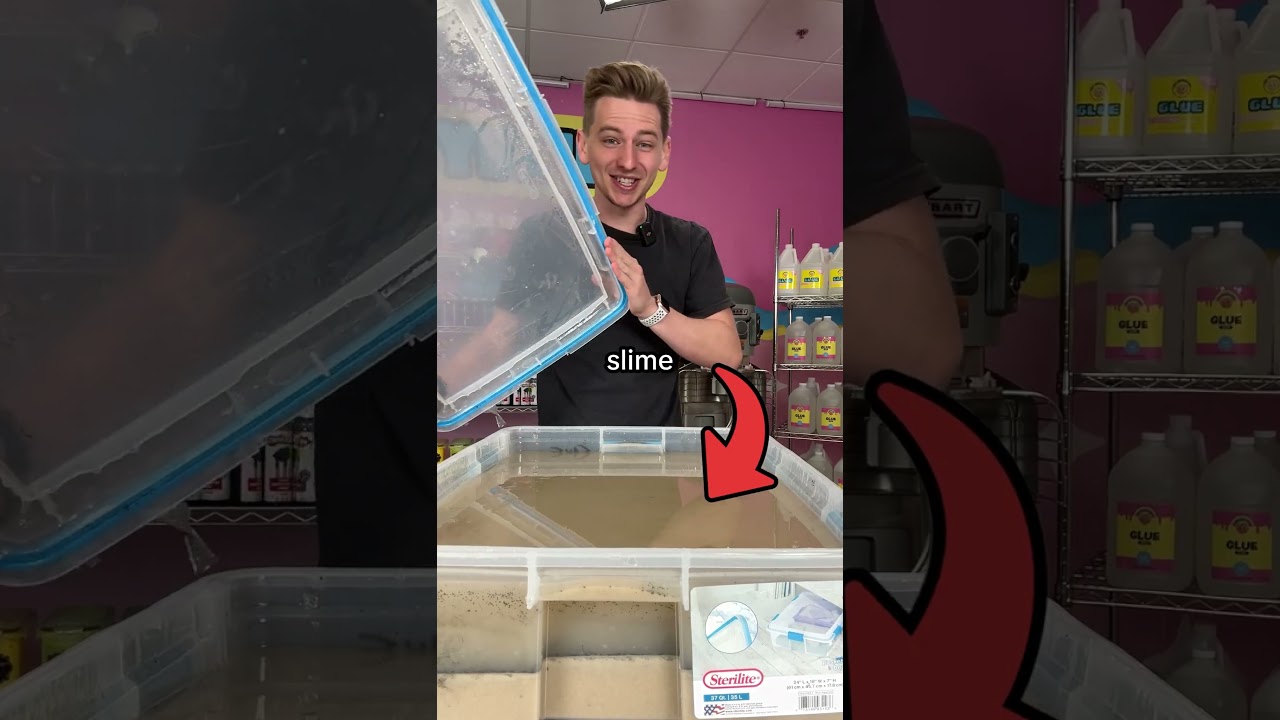 It's Been 1 Year...