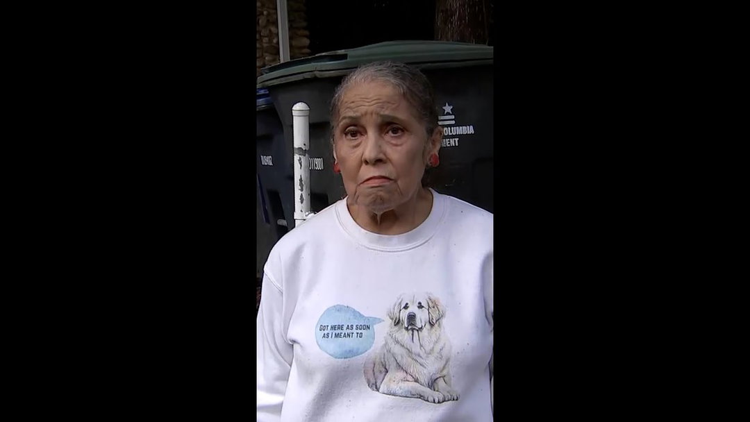 Neighbor of Rep. Omar calls federal search of her home 'stupid'