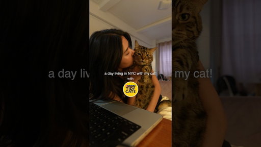 spend the day with me and my tiny roommate 🐱#ad @tidycats #tidycatspartner