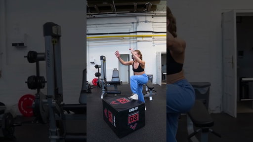 All about Plyos!