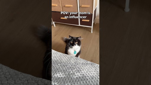 Technically… he does help #kitten #cat #influencer