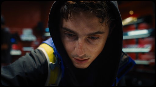 Synth | Kalshi x Timothée Chalamet