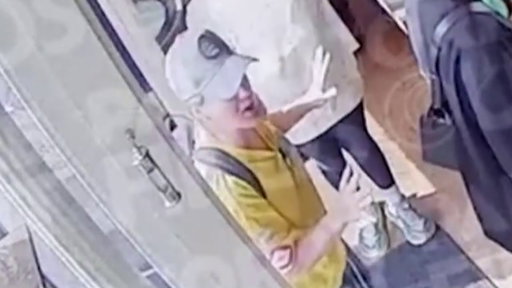 Surveillance video of Kelly Clarkson at Brooklyn store released