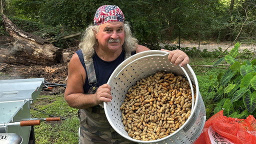 Louisiana Style Boiled PEANUTS