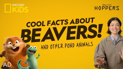 AD | Hoppers Clips and Activities! 🦫 | Hoppers is now playing in theaters 🍿 | @natgeokids