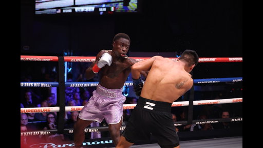 Richardson Hitchins vs. Ricardo Salas: Zuffa Boxing 09, July 26, 2026